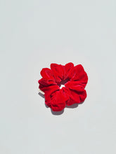 Load image into Gallery viewer, VELVET SCRUNCHIES - bright